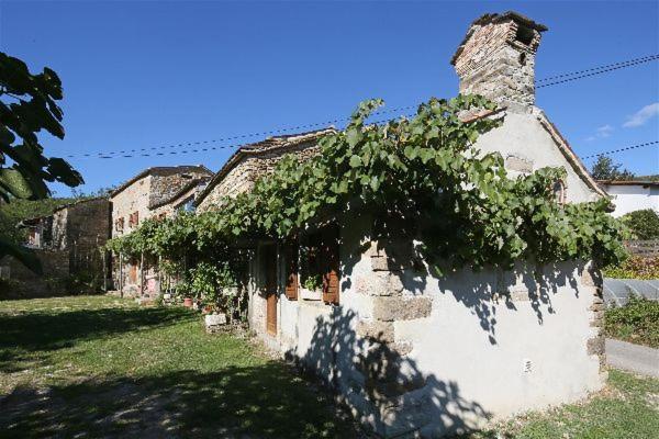 Istrian Experience Villa Socerga Exteriör bild